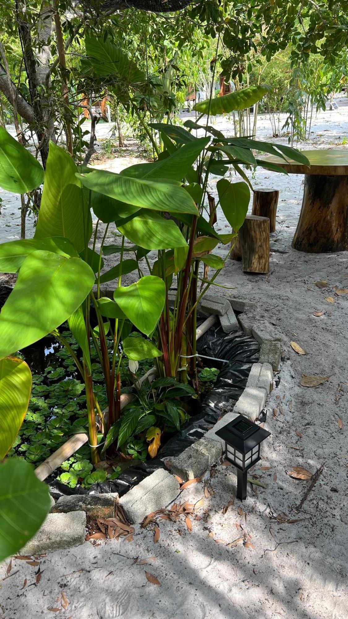 Golden Chenang Village Pantai Cenang (Langkawi) Exterior foto