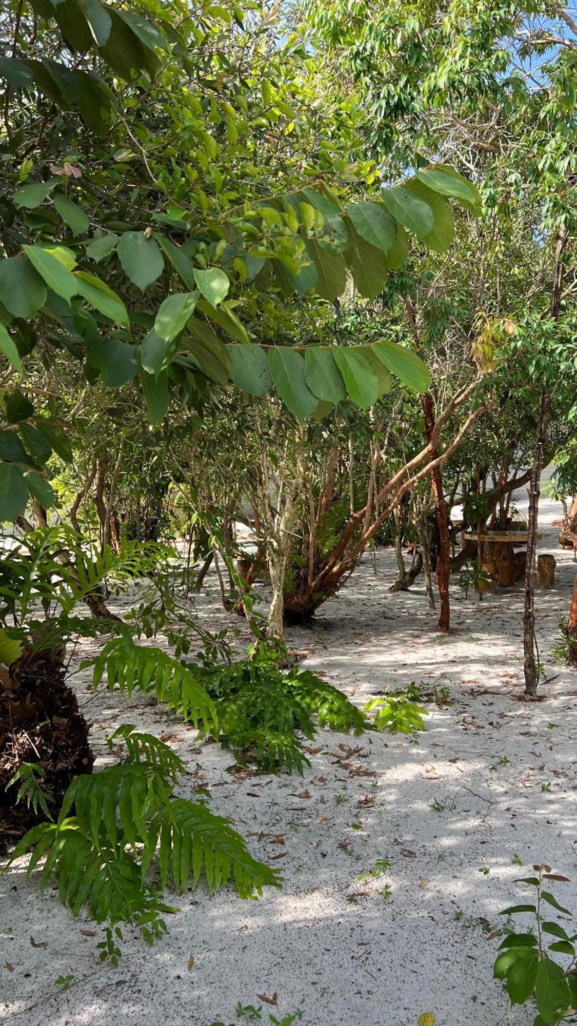 Golden Chenang Village Pantai Cenang (Langkawi) Exterior foto