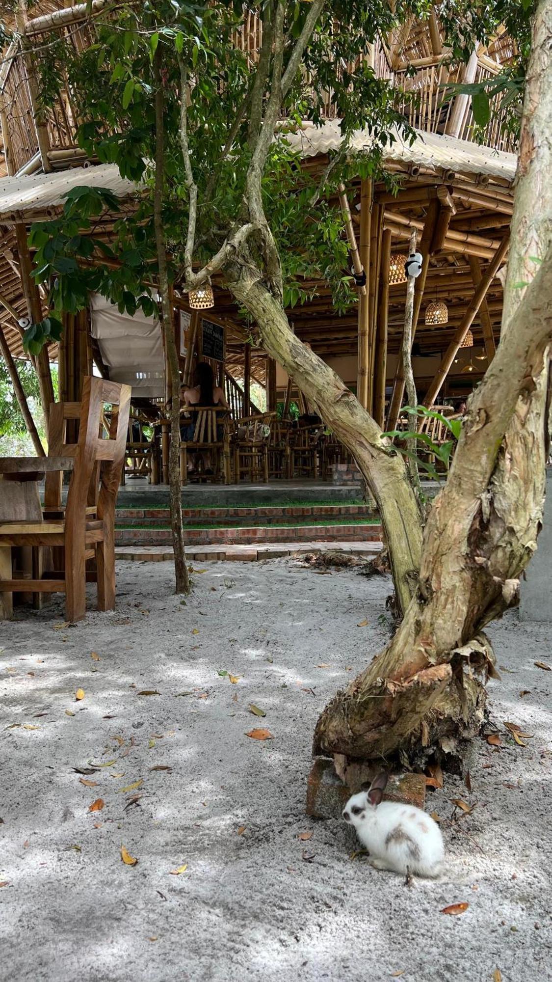 Golden Chenang Village Pantai Cenang (Langkawi) Exterior foto